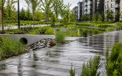 SUDS Installation: Expert Guide for Effective Drainage